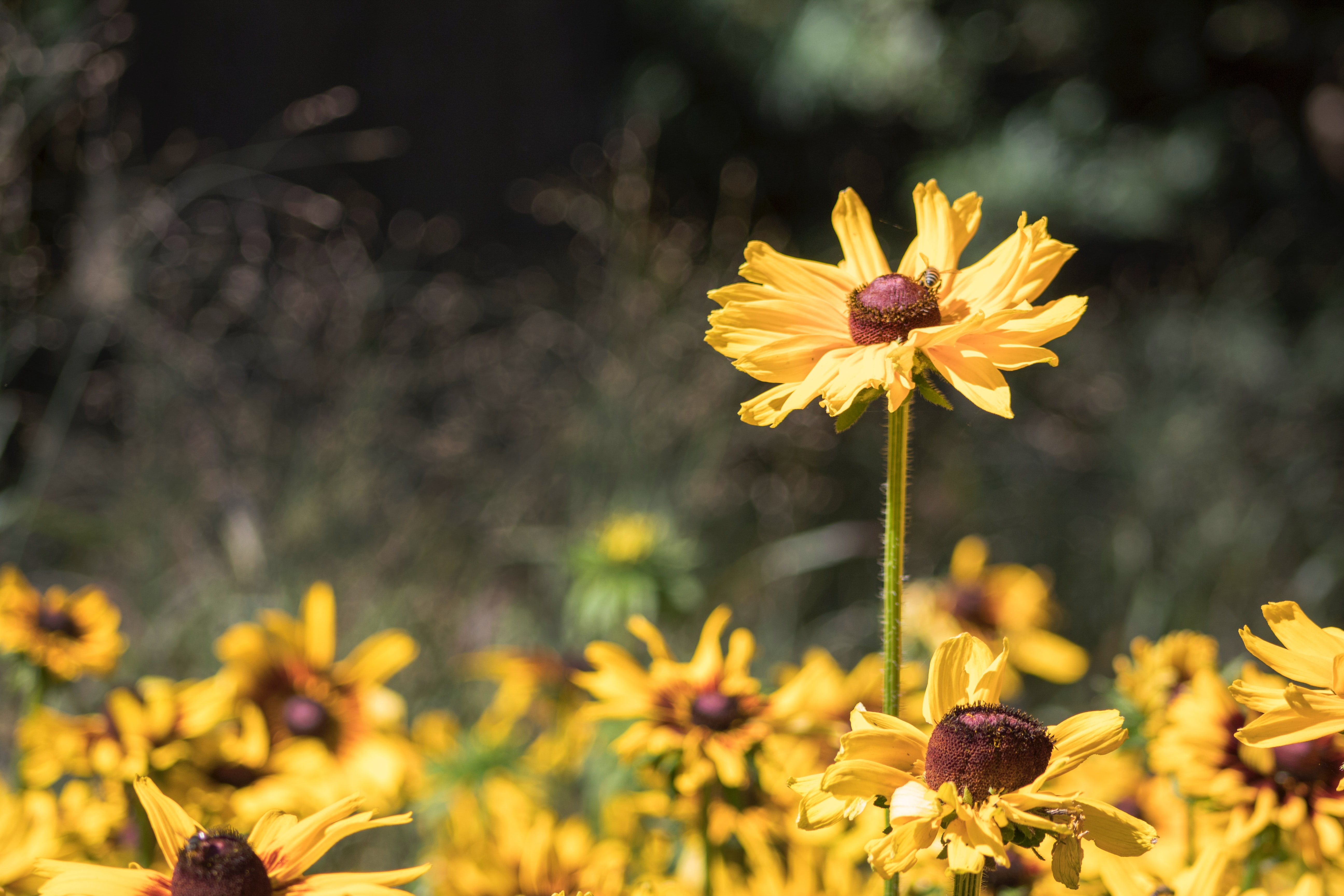 Stand Out to Be Kind