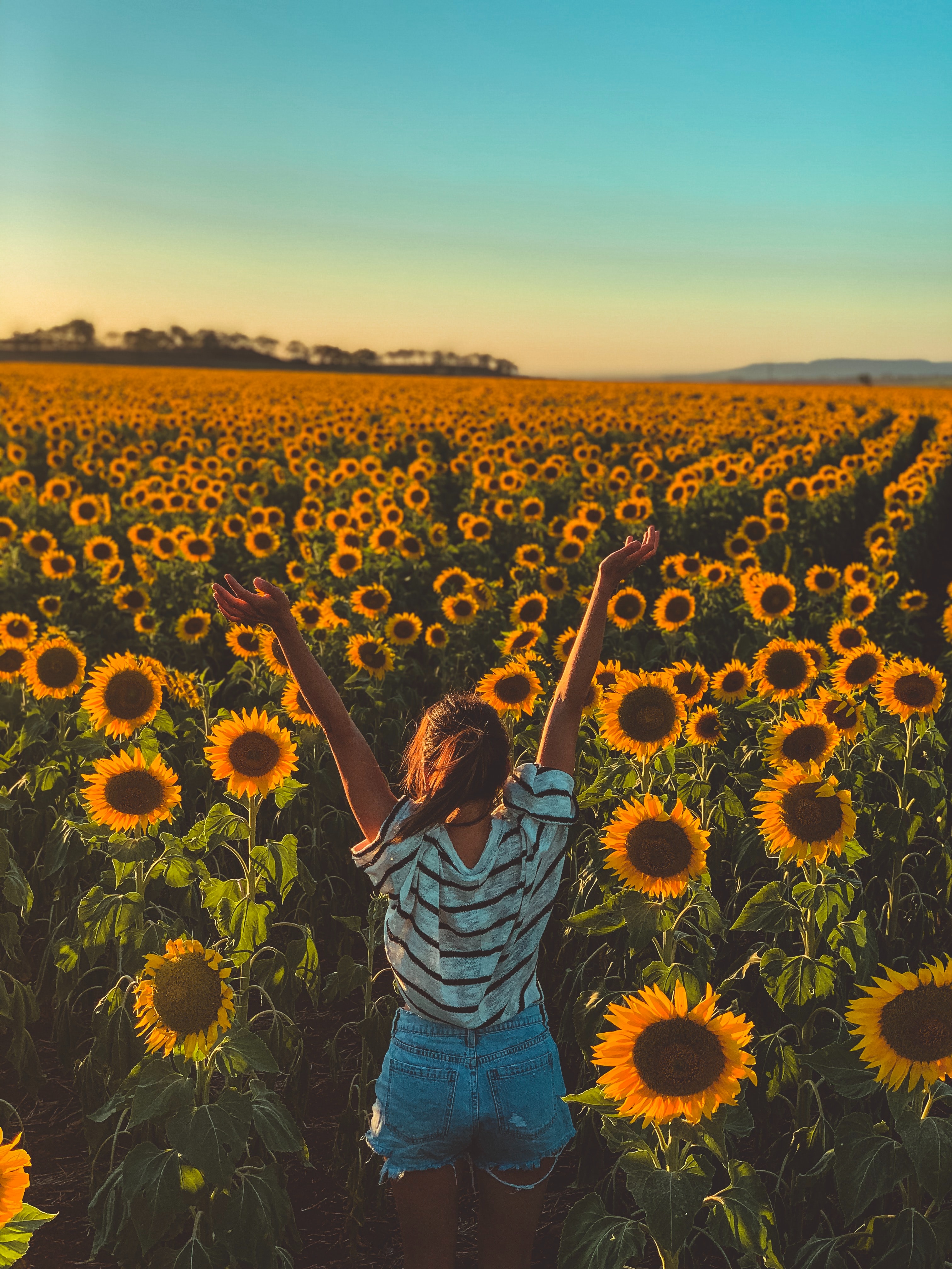 Be Present in the Here and Now