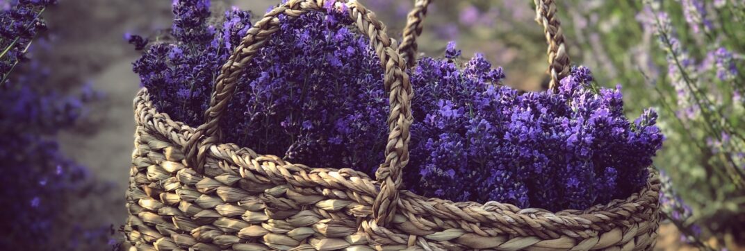 Letting Go of the Weight of the Wait