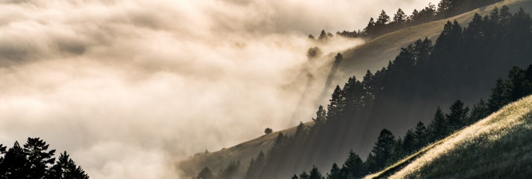 Seeing Beyond to New Scenery