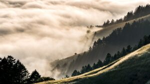 Seeing Beyond to New Scenery