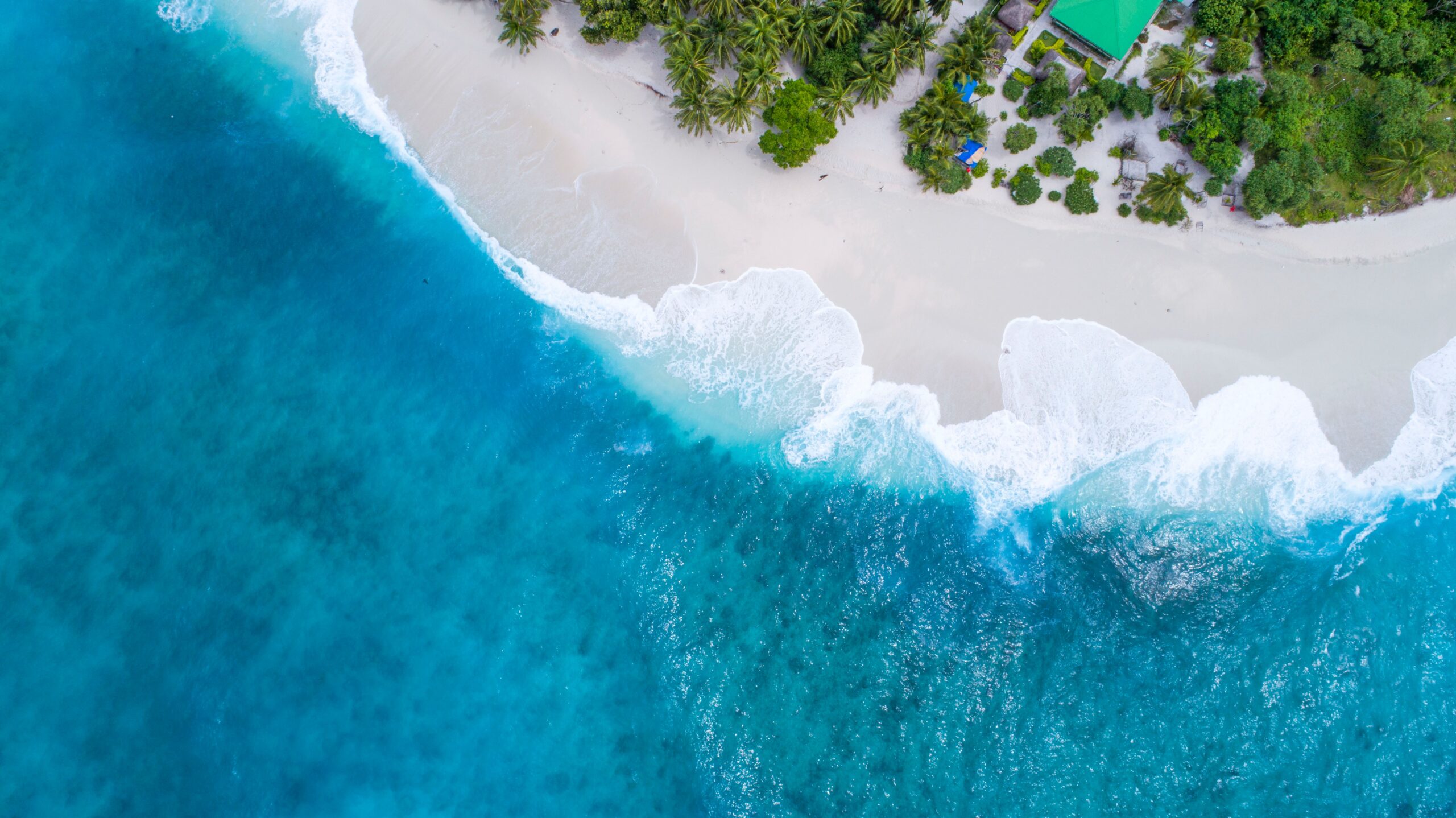 How to Find Hope Beyond the Waves