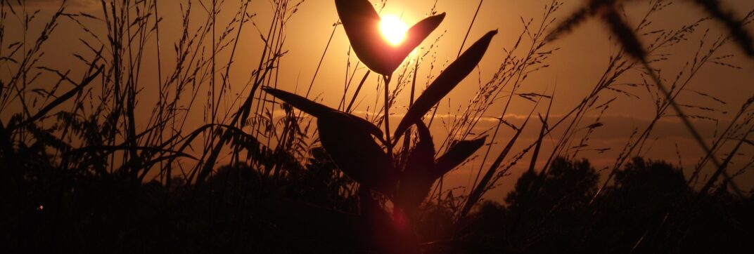 Traditions and New Seasons