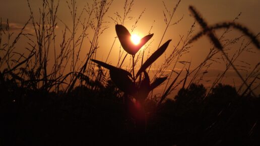 When You Want To Stop But Need To Stay