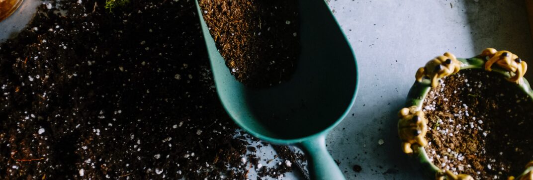 Cultivating New Ground