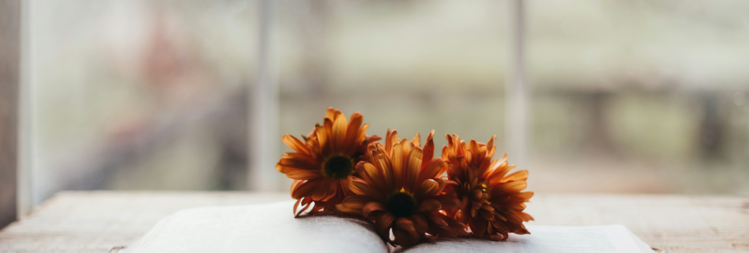 Pausing to Reflect on the Rush of Time