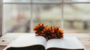 Pausing to Reflect on the Rush of Time Pausing to Reflect on the Rush of Time